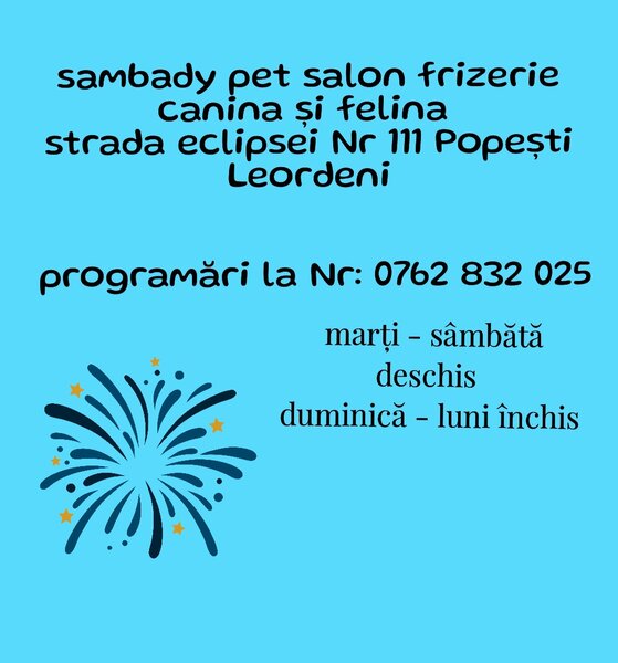 Frizerie canina Popesti Leordeni